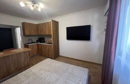 Garsonieră de vânzare, 22 mp, etaj 2, zona Blascovici 