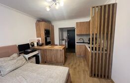 Garsonieră de vânzare, 22 mp, etaj 2, zona Blascovici 