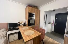 Garsonieră de vânzare, 22 mp, etaj 2, zona Blascovici 
