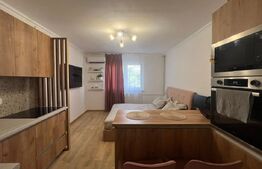 Garsonieră de vânzare, 22 mp, etaj 2, zona Blascovici 