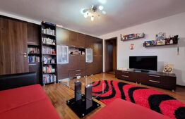 Apartament de vanzare, cu 2 camere, spatios, zona Aradului