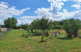 Teren intravilan, 4600 mp, dezvoltari imobiliare, Timisoara