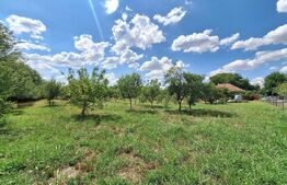 Teren intravilan, 4600 mp, dezvoltari imobiliare, Timisoara