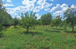 Teren intravilan, 4600 mp, dezvoltari imobiliare, Timisoara