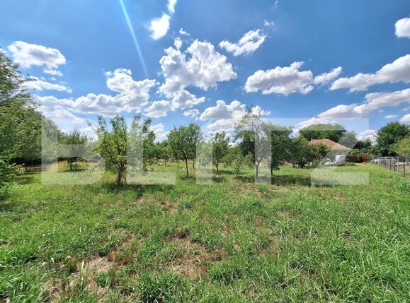 Teren de vânzare Plopi - 175196TV | BLITZ Timișoara | Poza2