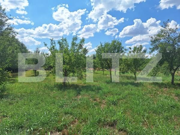 Teren de vânzare Plopi - 175196TV | BLITZ Timișoara | Poza4