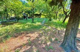 Casa individuala 6 camere, 200mp utilit, 605mp, teren Zona Muzicescu