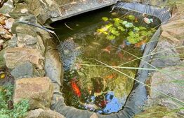 Casa individuala 6 camere, 200mp utilit, 605mp, teren Zona Muzicescu