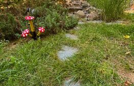 Casa individuala 6 camere, 200mp utilit, 605mp, teren Zona Muzicescu