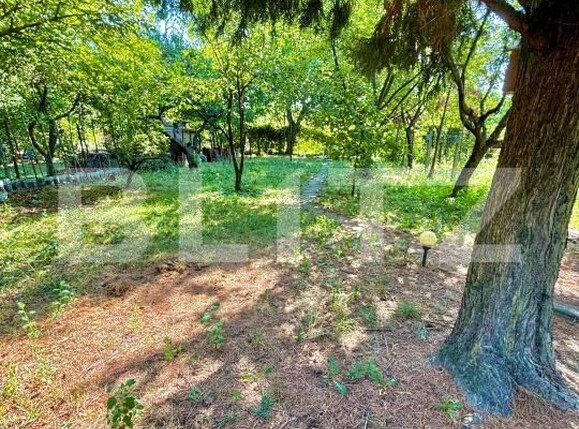 Casa de vânzare 6 camere Girocului - 175400CV | BLITZ Timișoara | Poza7