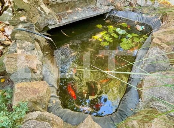 Casa de vânzare 6 camere Girocului - 175400CV | BLITZ Timișoara | Poza2