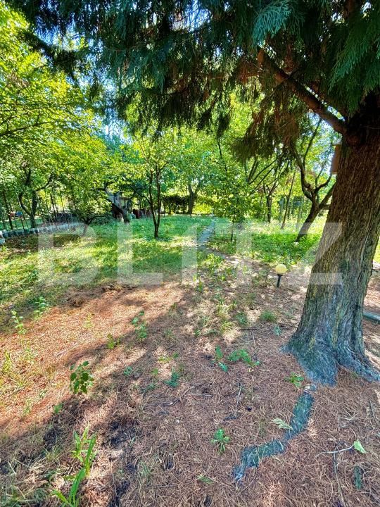 Casa de vânzare 6 camere Girocului - 175400CV | BLITZ Timișoara | Poza7