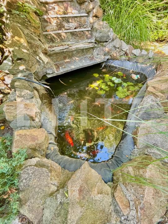 Casa de vânzare 6 camere Girocului - 175400CV | BLITZ Timișoara | Poza2