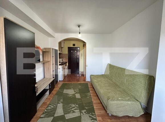 Garsonieră de vânzare Torontalului - 175486AV | BLITZ Timișoara | Poza1