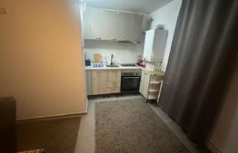 Apartament de vanzare, cu 2 camere mobilat si utilat +garaj