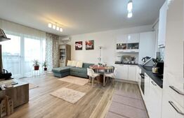 Apartament 2 camere Dumbrăvița