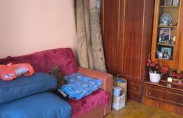 Apartament de vanzare cu 2 camere, zona Iosefin 