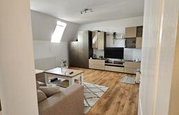 Apartament cu 2 camere, 46 mp, zona Dacia