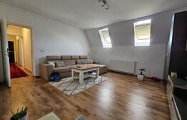 Apartament cu 2 camere, 46 mp, zona Dacia