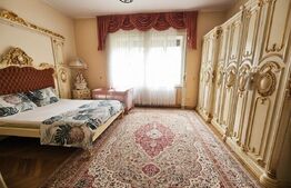 Casa ultracentrala 12 camere 789mp utili teren 810mp Timisoara