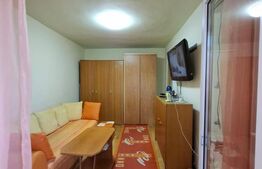 Apartament cu o camera Buziașului