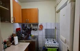 Apartament cu o camera Buziașului