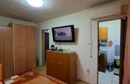 Apartament cu o camera Buziașului