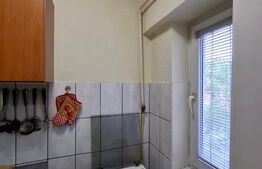 Apartament cu o camera Buziașului