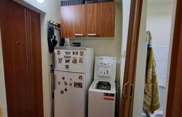 Apartament cu o camera Buziașului