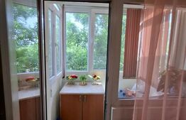 Apartament cu o camera Buziașului