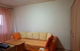 Apartament cu o camera Buziașului