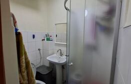 Apartament cu o camera Buziașului