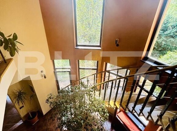 Casa de vânzare 7 camere Dumbravita - 177065CV | BLITZ Timișoara | Poza11
