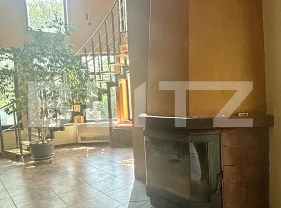 Casa de vânzare 7 camere Dumbravita - 177065CV | BLITZ Timișoara | Poza4