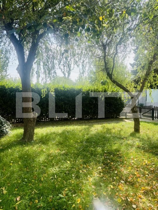 Casa de vânzare 7 camere Dumbravita - 177065CV | BLITZ Timișoara | Poza23