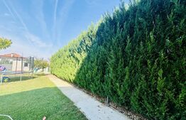 Vilă contemporană cu 5 dormitoare, 5 băi și teren de 920 mp