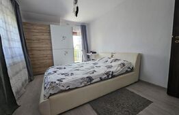 Jumatate de duplex, Dumbravita, Vatra veche