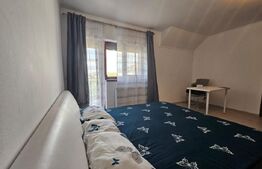 Jumatate de duplex, Dumbravita, Vatra veche