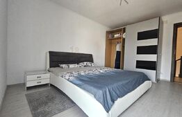 Jumatate de duplex, Dumbravita, Vatra veche