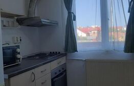 Garsonieră de vanzare, 12 mp, zona Iuliu Maniu