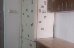 Apartament cu o cameră zona Buziașului