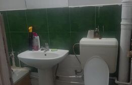 Apartament cu o cameră zona Buziașului