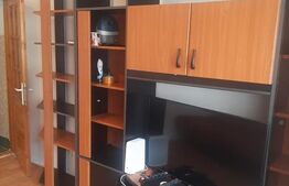 Apartament cu o cameră zona Buziașului