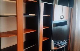 Apartament cu o cameră zona Buziașului