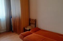 Apartament cu o cameră zona Buziașului