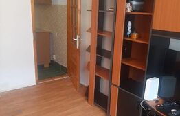 Apartament cu o cameră zona Buziașului