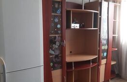 Apartament de vanzare, cu o cameră, 21 mp, zona Lipovei