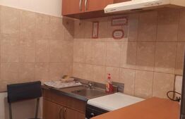 Apartament de vanzare, cu o cameră, 21 mp, zona Lipovei