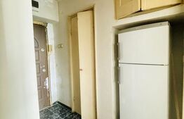 Apartament 2 camere cu vedere spre Bega – oportunitate de investiție/ renovare