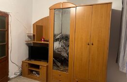 Apartament cu o cameră Buziașului